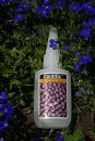 Two Little Fishies, CorAffix Cyanoacrylate Adhesive 2oz