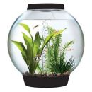BiOrb Baby Black 15L (4Gallon)