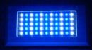 Blueline 120w VHO LED Fixture 55 x 3w Bridgelux LEDs ( 35 white & 20 Blue 450nm)