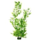 Marineland Giant Bamboo Plant 3' Long