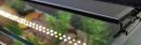 Current USA Satellite Plus full spectrum LED Fixture 18" - 24" with remote