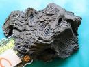 WYSIWYG Lots #51 MOPANI AFRICAN WOOD Medium size, for aquascaping, ZOO MED