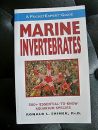 Marine Invertebrates Pocket Guide (soft cover), Ronald L. Shimek, Ph.D.