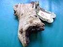 WYSIWYG Lots#91 MOPANI AFRICAN WOOD Medium size, for aquascaping, ZOO MED