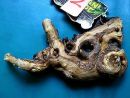 WYSIWYG Lots#21 MOPANI AFRICAN WOOD Medium size, for aquascaping, ZOO MED