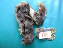 WYSIWYG Lots#101 MOPANI AFRICAN WOOD Medium size, for aquascaping, ZOO MED
